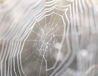Navigating toxic circles